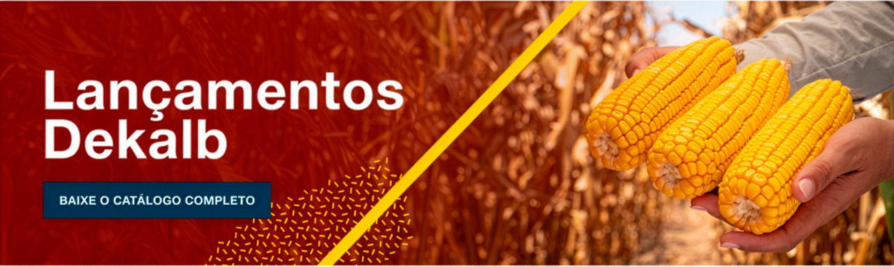 Lançamentos Dekalb. Baixe o catálogo completo.